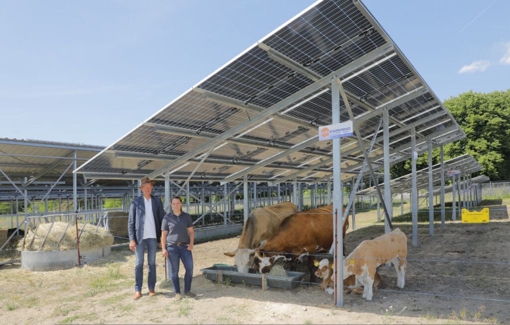 Mutterkuhhaltung unter Agri-PV Anlagen, mit Peter Schrum und Ulrike Knees