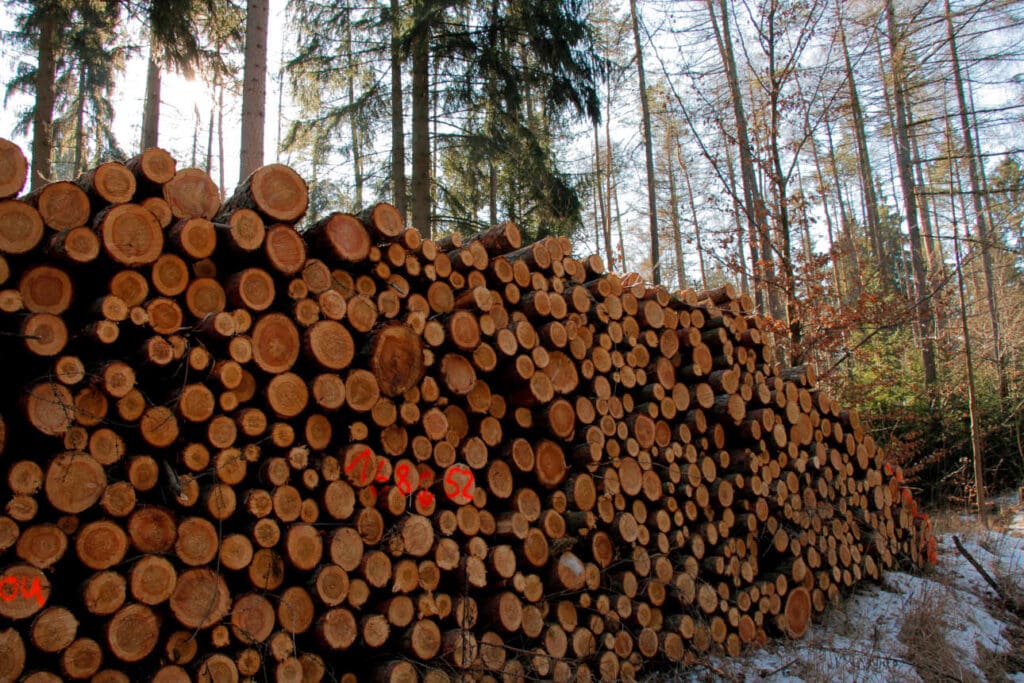 Holzstapel, sogenannter Polter