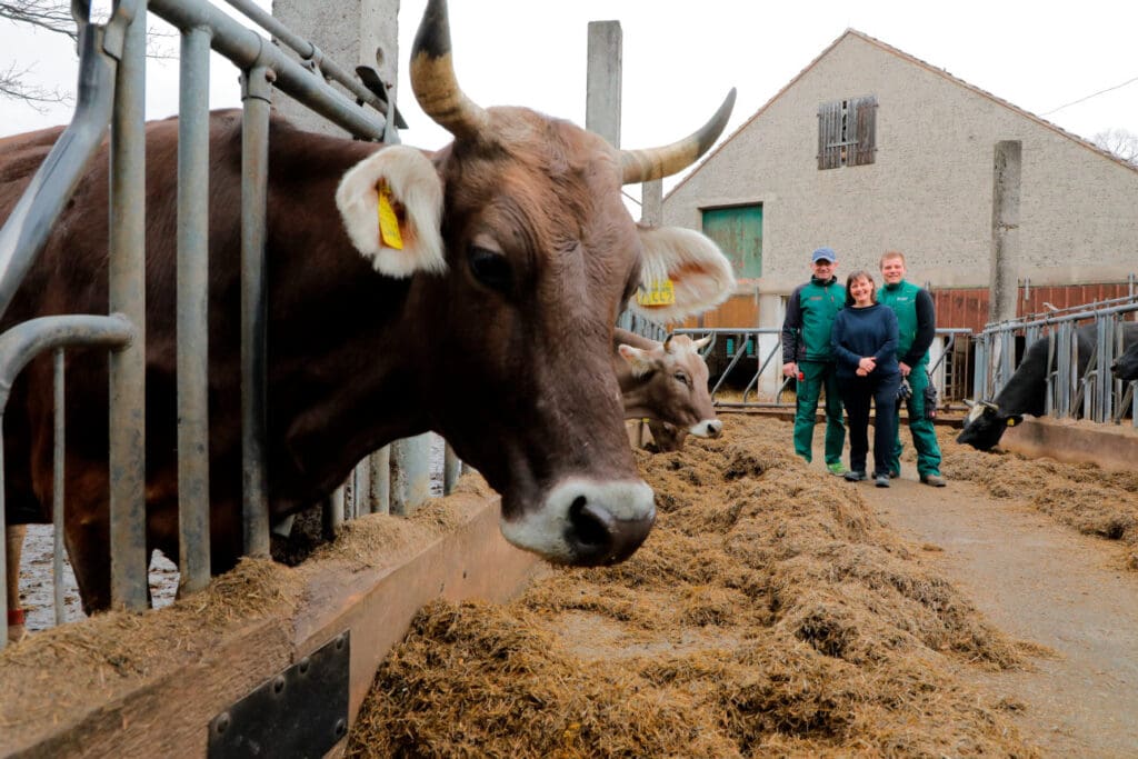 Pfarrgut Taubenheim, Milch ist ein Topseller 