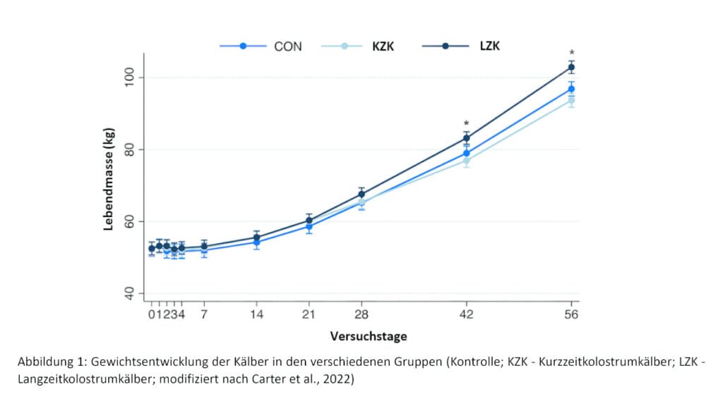 Kurzzeitkolostrum