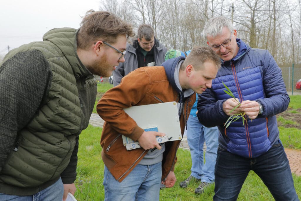 Fachlehrer beim Thema Bestockung