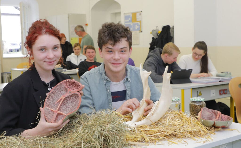 Schülerinnen und Schüler im Klassenzimmer