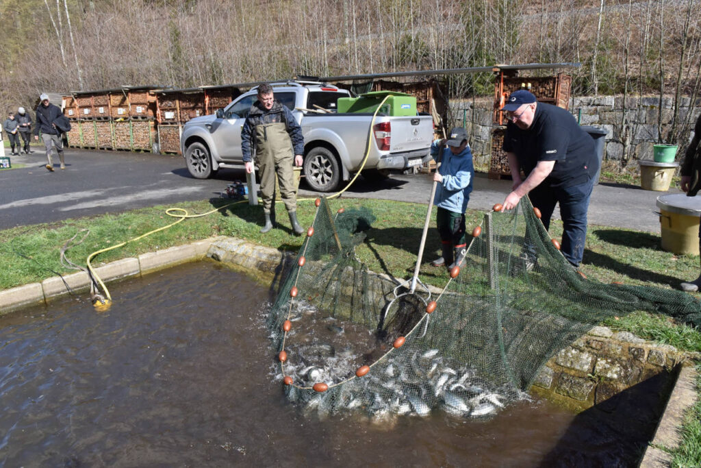 Abfischen Fischteiche von Peter Voss zwischen Tharandt und Edle Krone