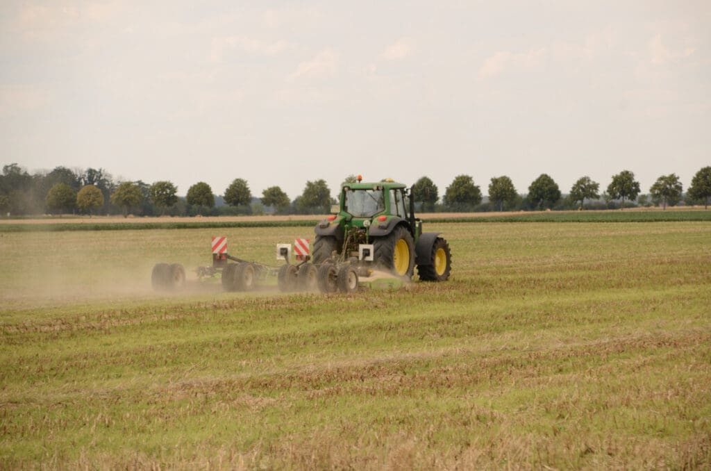 Feld beim Praxispartner in Köllitsch