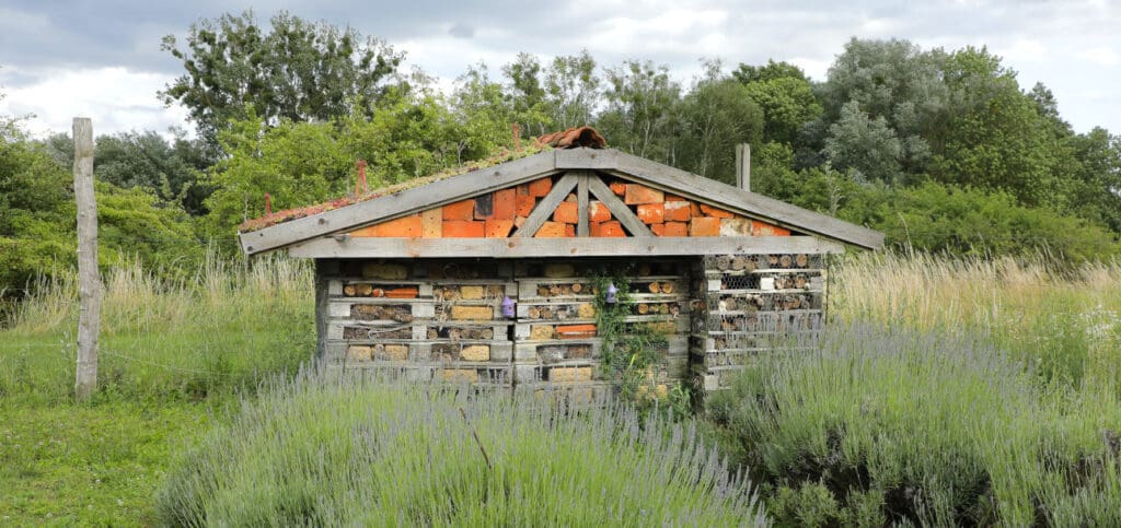 Insektenhotel beim Lavendelhof Grimme