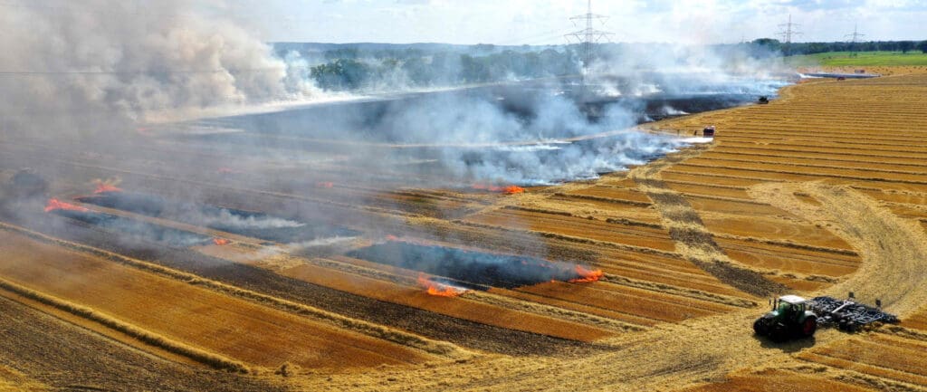 Großflächiger Ödlandbrand zwischen Plessa und Schraden Juli 2023