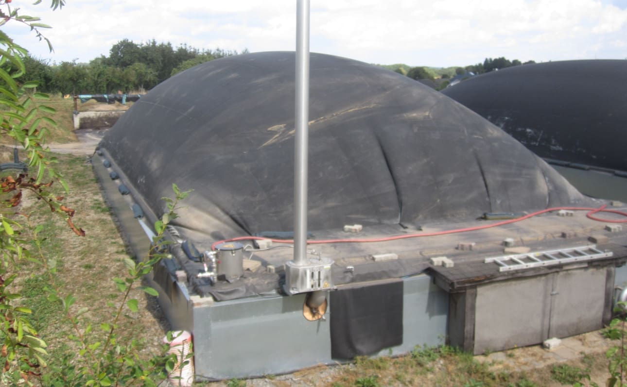 Biogas aus Pferdemist Trockenvergärung Bauernzeitung