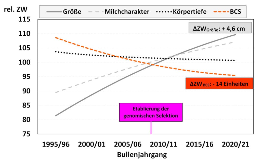 Holstein Rinder Trends ausgewählter Exterieurzuchtwerte