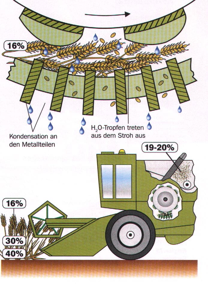 Feuchteübergang vom Stroh ins Getreide