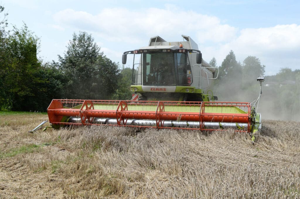 Claas Lexion 750 drischt Winterweizen mit Lagerstellen und Durchwuchs