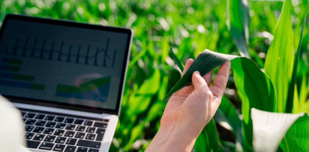 Digitalisierung in der Landwirtschaft