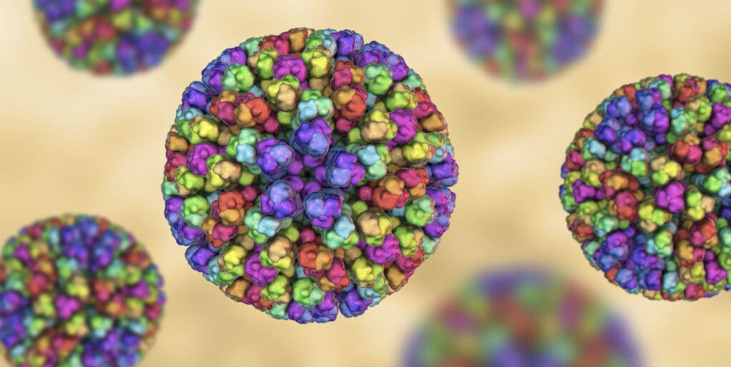 Blauzungenkrankheit 3D Virus