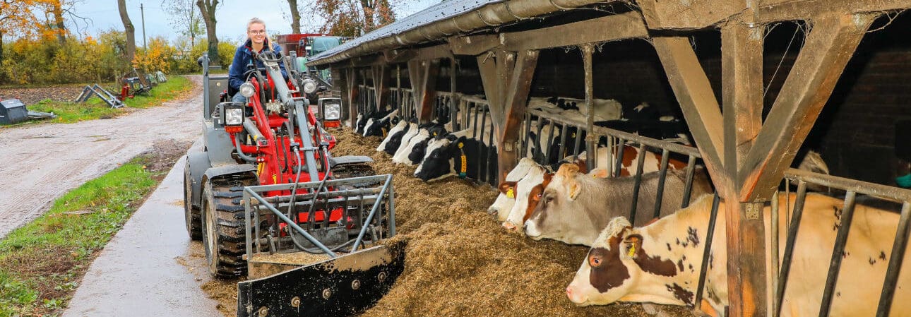 Brandenburger Milchkönigin 2023 Brandenburger Milchkönigin 2023