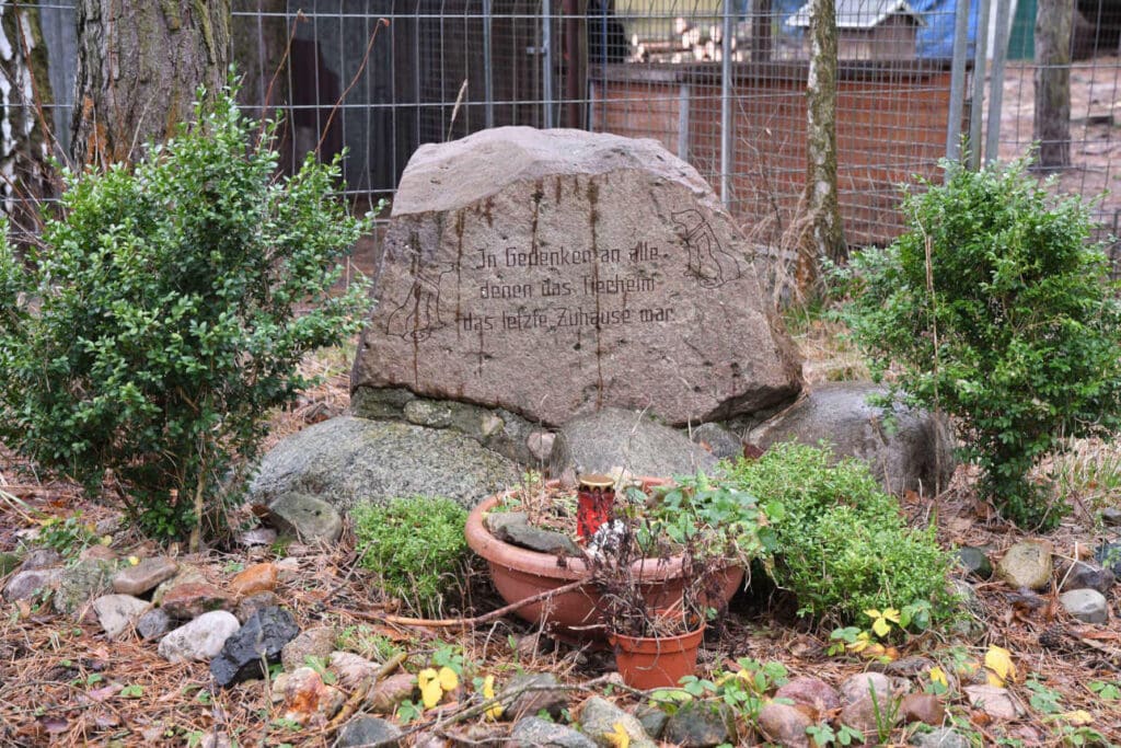 Gedenkstein beim Tierheim Märkisch Buchholz