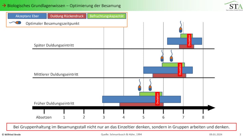 Abbildung 1 Besamungszeitpunkt