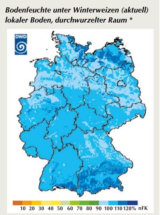 Bodenfeuchte unter Winterweizen (Abbildung 1)