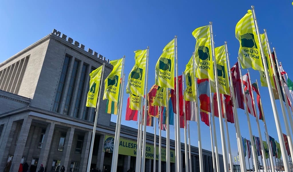 Fahnen auf dem Messegeländer in Berlin zur Grünen Woche