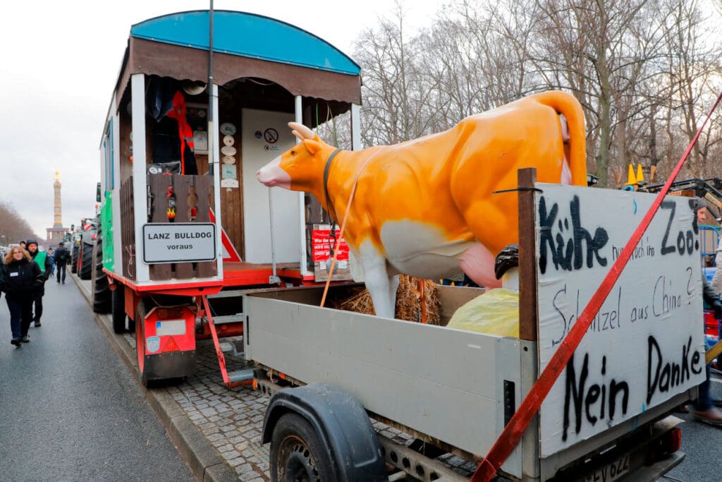 Protestwagen Kühe bei der Demo in Berlin