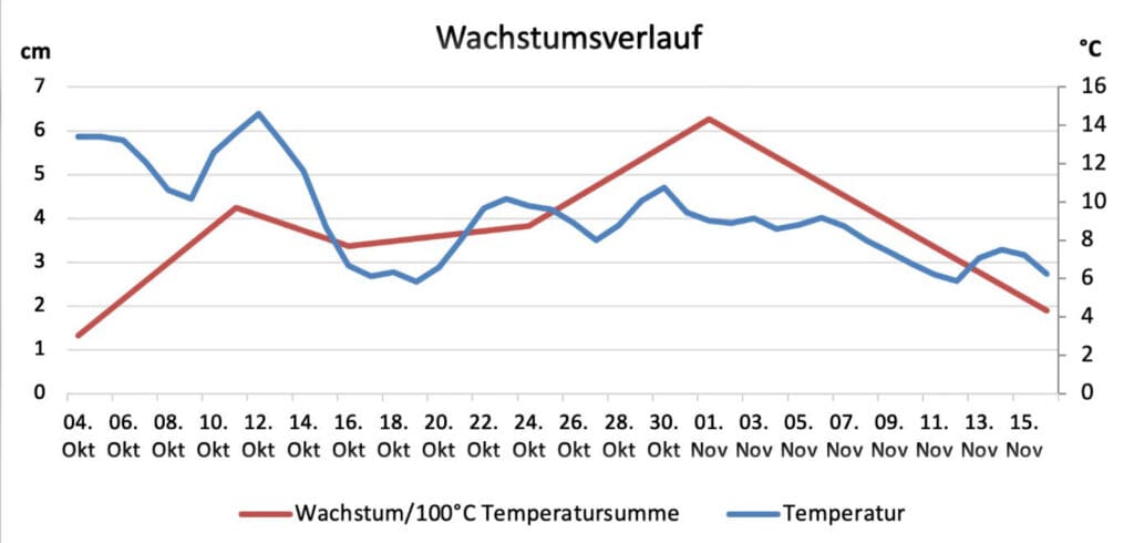 Wachstumshöhe von Hanf im Zusammenhang mit dem Wetter