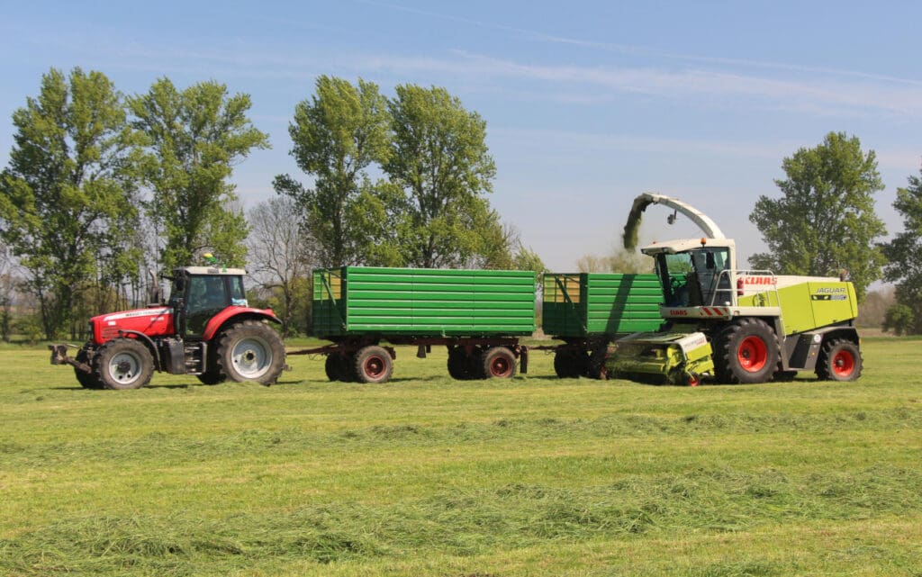 Futterernte im Großen Bruch