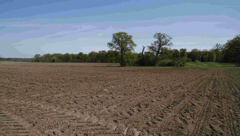 Konventionelle Betriebe sollen bei der Pacht von BVVG-Flächen mehr Chancen haben als zuletzt. Darauf haben sich Bund und neue Länder verständigt. Verpachtet wird weiter nach einem Punktesystem, in das auch der gebotene Kaufpreis eingeht.