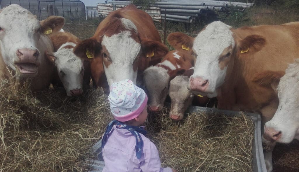 Besuch bei Familie Metz in Brandenburg