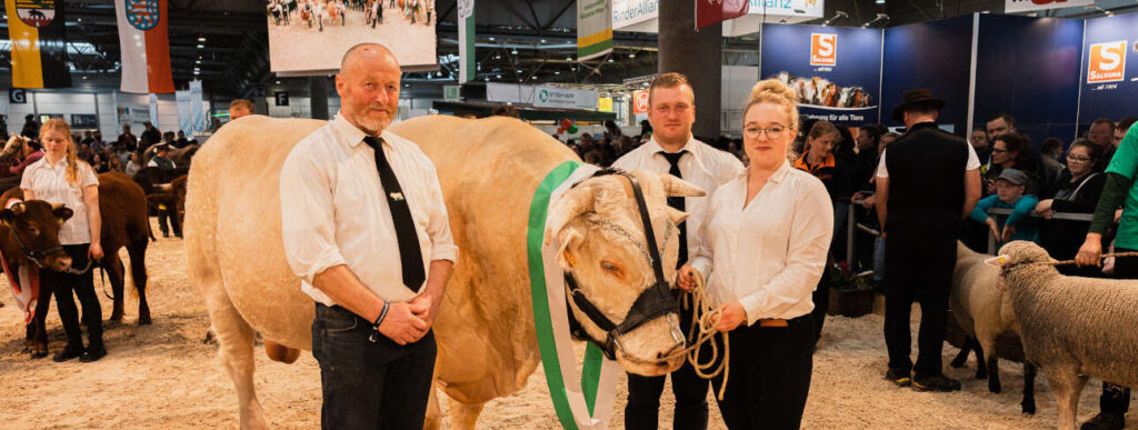 Champion wurde beim letzten Mal Charolais-Altbulle Monptiroi vom Landwirtschaftsbetrieb Wetzel aus Thum-Herold in Sachsen