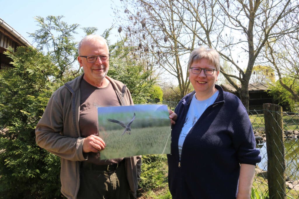 In Nordostbrandenburg sind die Biologin Simone Müller und ihr Mann
Ronny seit mehr als 20 Jahren aktive Wiesenweihenschützer.