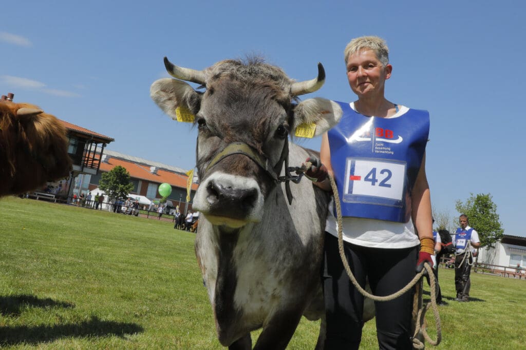 Silke Hildebrandt mit der 10-jährigen Kuh Dohle, ein Rätisches Grauvieh auf der BraLa 2024