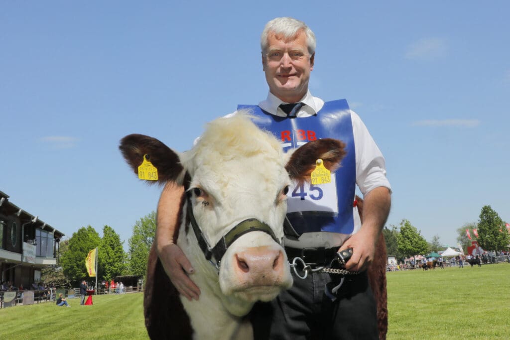 Thomas Heidenreich mit Hereford-Kuh auf BraLa 2024
