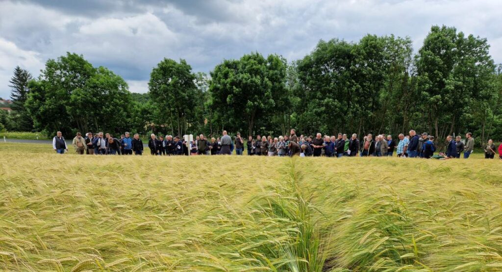Braugersten Sortendemo in Knau in Thüringen