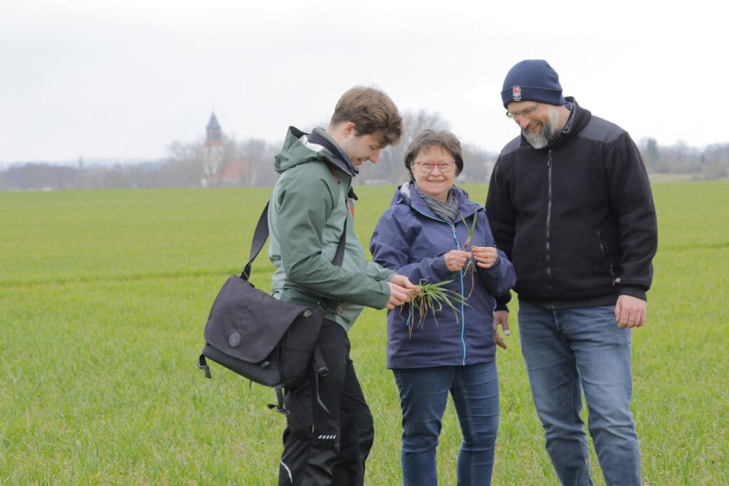 Drei Menschen mit Wintergetreide in der Hand