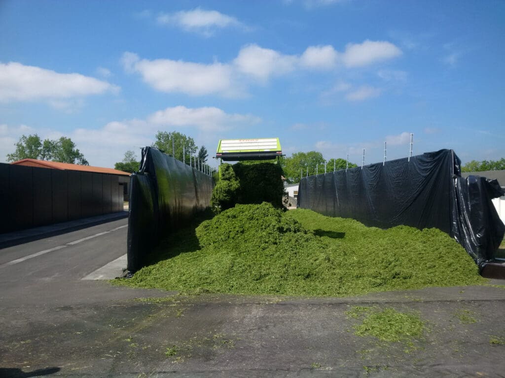Mit dem Silieren der Luzerne hat der Betrieb vorige Woche begonnen. Das Fahrsilo ist mit Leckerkennungen am Sickersaft-Auffangbehälter und unter den Silokammern ausgestattet.