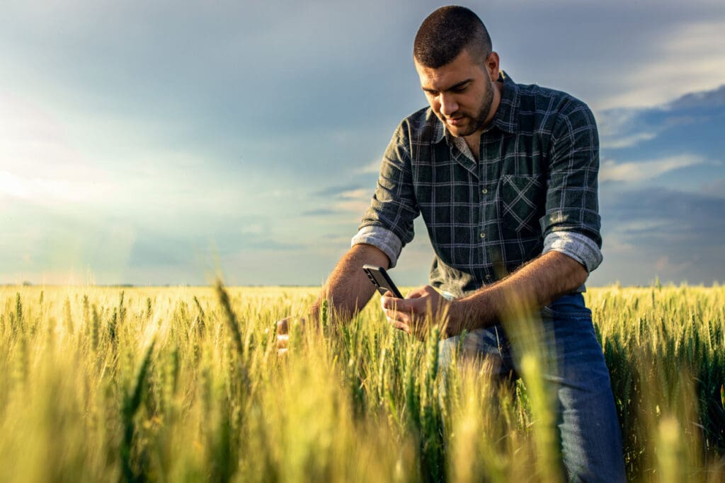 Junger Landwirt mit Handy in der Hand fotografiert Getreide auf dem Feld