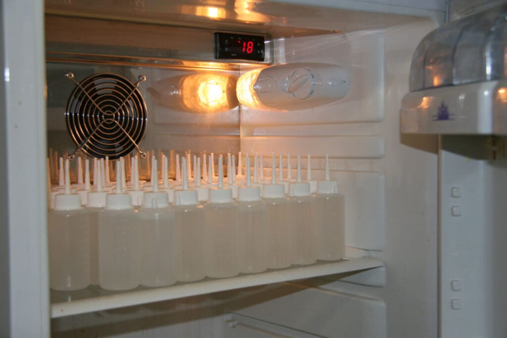 Bullensperma im Kühlschrank gelagert
