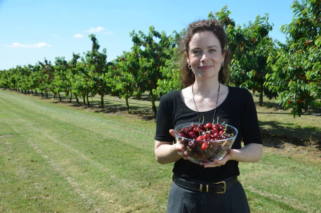 Elisabeth Schwitzky mit einer Schale Süßkirschen in der Hand auf der Obstplantage