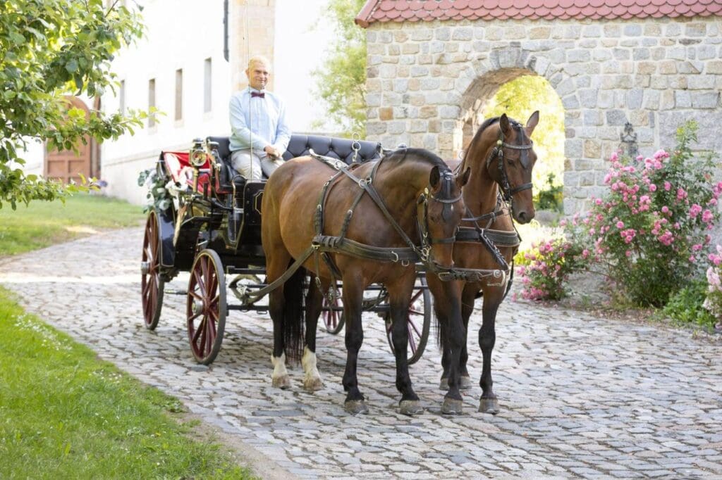 Das letzte Mal in Ilkendorf an den Leinen: Sven Botrhe fährt mit Figaro und Zart aus. (c) Susann Bothe