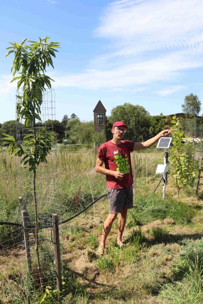 Daniel Diehl steht zwischen mehreren Bäumen des betriebseigenen und nachhaltig geplanten Agroforst-Konzepts.